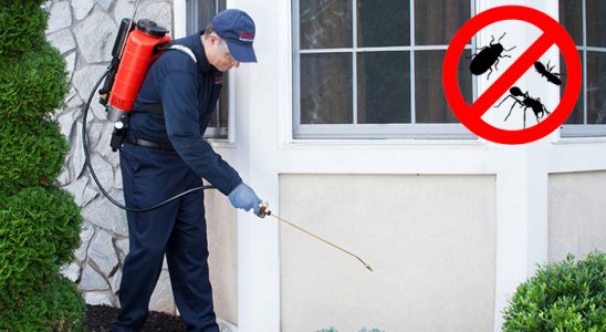 Bayat Böcek İlaçlama böcek ilaçlama ve haşere kontrolü — ilaclama-tr.com